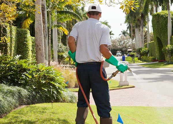 About Redwater TX Pest Control